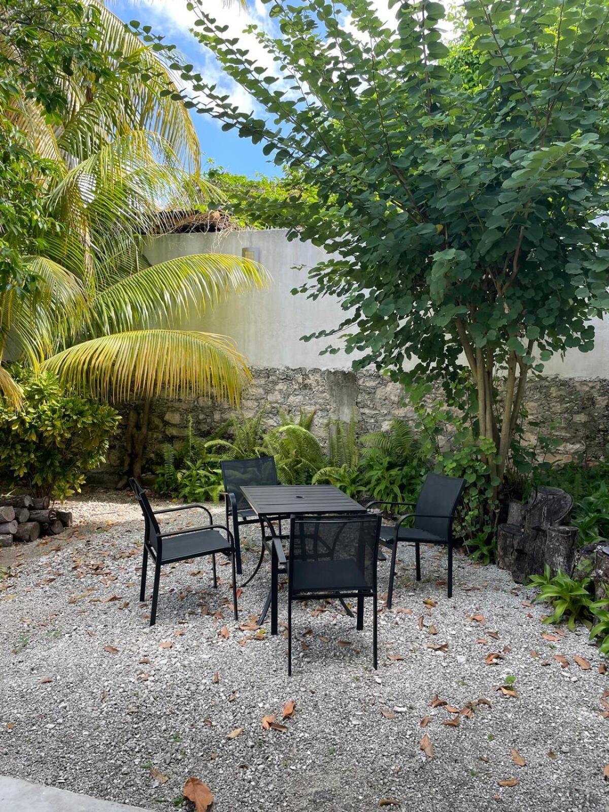 Apartment Coco Cozy Centric And Private *