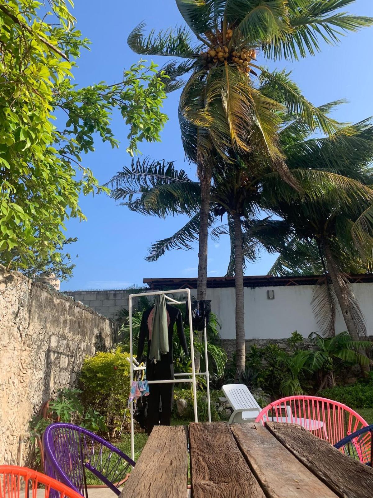 Apartment Coco Cozy Centric And Private Cozumel